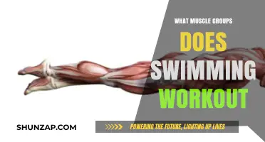 Swimming's Full-Body Benefits: Targeted Muscle Groups and Workout Effects
