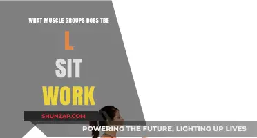 L-Sit Workout: Targeted Muscle Groups and Core Strength Benefits