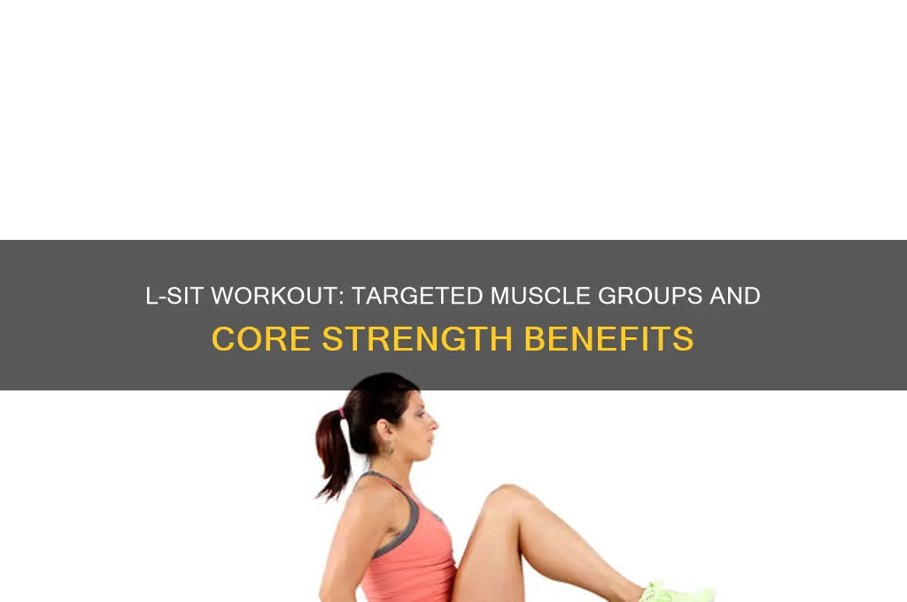 what muscle groups does tbe l sit work