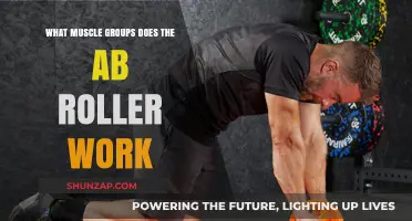 Ab Roller Workout: Targeting Core, Shoulders, and Back Muscles Effectively