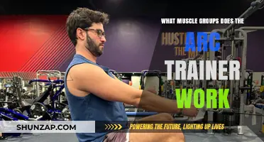 Arc Trainer Benefits: Targeted Muscle Groups for Full-Body Workouts