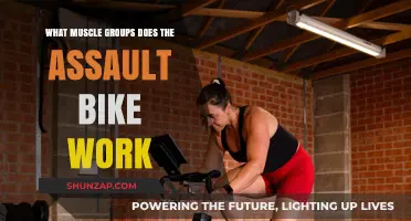 Assault Bike Workout: Targeted Muscle Groups and Fitness Benefits