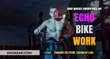 Echo Bike Workout: Targeted Muscle Groups and Full-Body Benefits