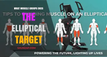 Elliptical Workout Benefits: Targeted Muscle Groups Explained