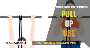 Modified Pull-Up Muscles: Targeted Groups and Benefits Explained