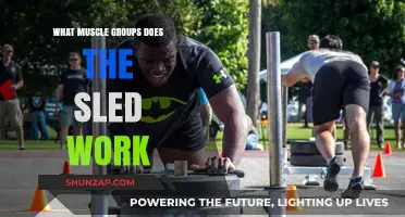 Sled Workout Benefits: Targeted Muscle Groups and Full-Body Engagement