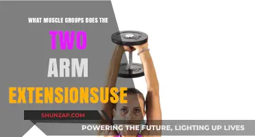 Two Arm Extensions: Targeted Muscle Groups and Benefits Explained