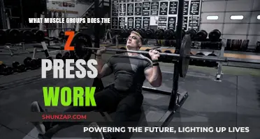 Z Press: Targeted Muscle Groups and Strength Benefits Explained
