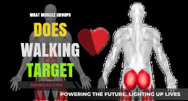 Walking's Surprising Benefits: Targeted Muscle Groups and Full-Body Impact