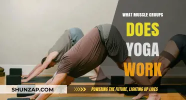 Yoga's Full-Body Benefits: Targeting Key Muscle Groups for Strength and Flexibility