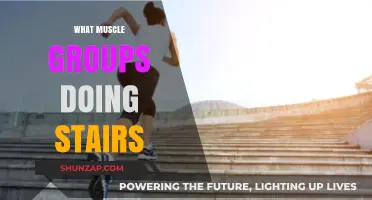 Climbing Stairs: Targeted Muscle Groups and Full-Body Benefits Explained