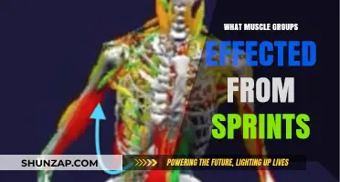 Sprinting's Impact: Key Muscle Groups Activated and Strengthened