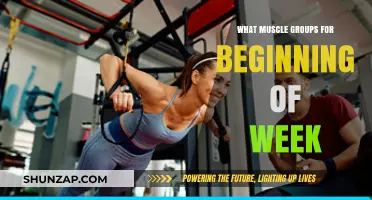 Kickstart Your Week: Targeting Key Muscle Groups for Optimal Results