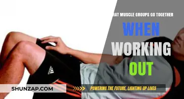 Effective Workout Pairings: Muscle Groups That Work Best Together