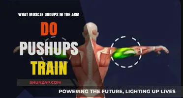 Pushups: Targeting Triceps, Shoulders, and Chest for Stronger Arms