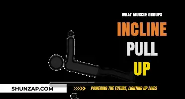 Incline Pull-Up Muscles: Targeted Groups and Benefits Explained
