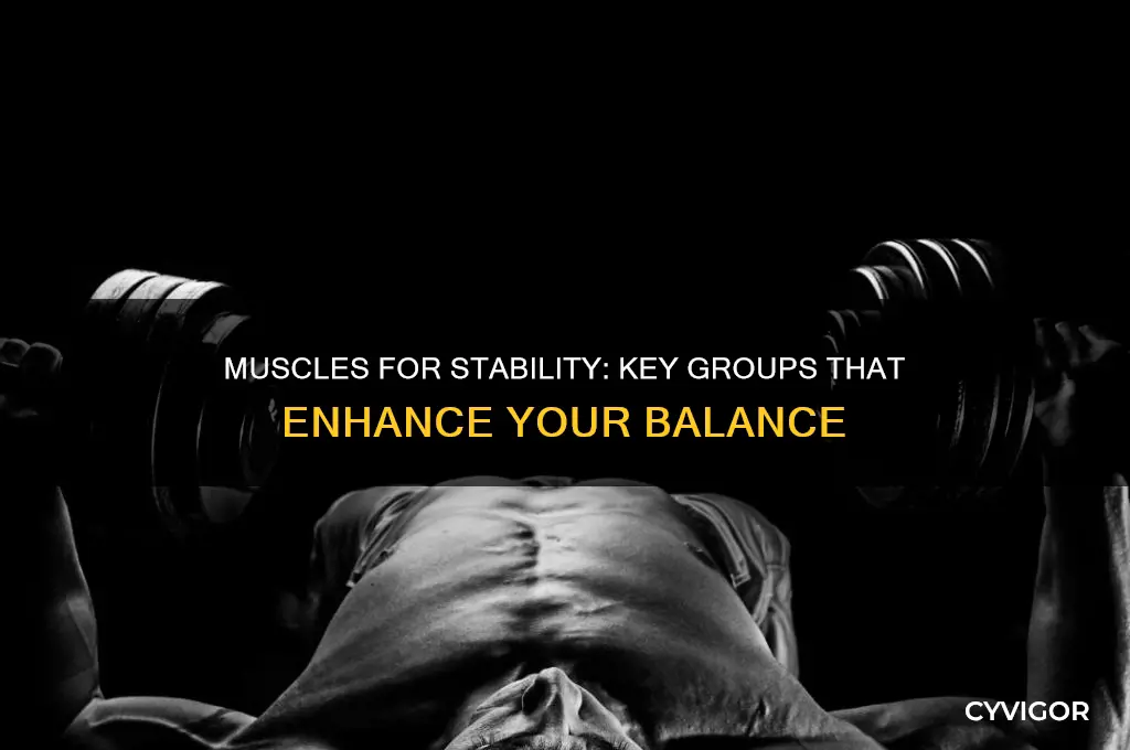 what muscle groups involved in balance