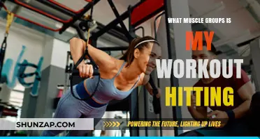 Maximize Your Gains: Identify Muscle Groups Targeted in Your Workout