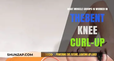 Bent Knee Curl-Up: Targeted Muscle Groups and Benefits Explained