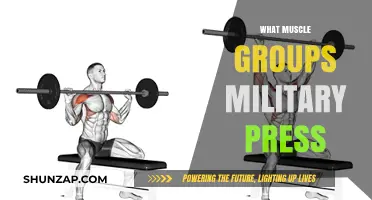 Military Press: Targeted Muscle Groups and Strength Training Benefits