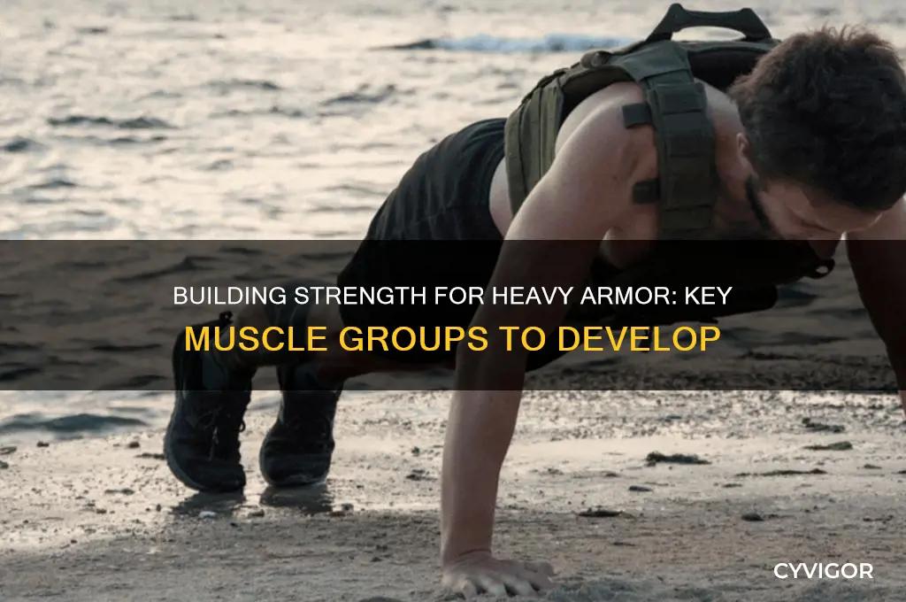 what muscle groups need to be built for heavy armor