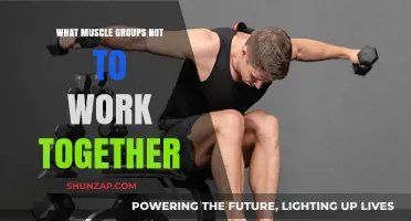 Avoid These Muscle Group Pairings for Optimal Workout Efficiency