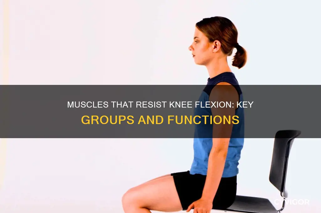 what muscle groups prevent flexion of the knee