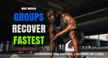 Speedy Muscle Recovery: Which Groups Bounce Back Fastest After Workouts
