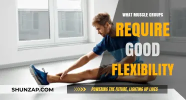 Unlocking Movement: Muscle Groups That Thrive on Flexibility