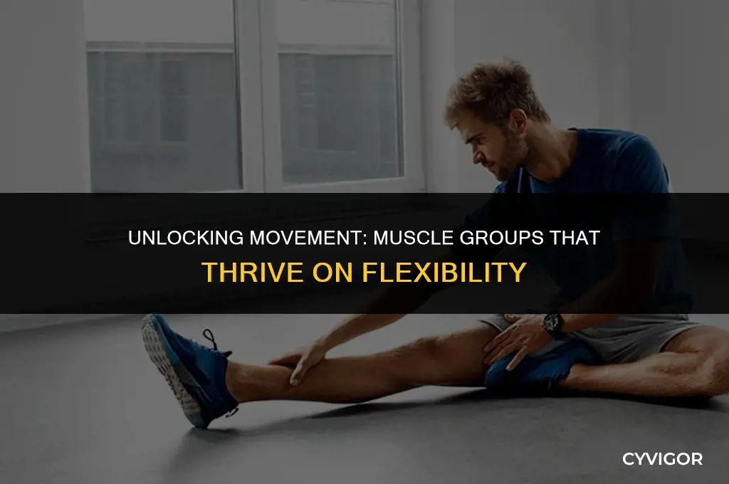 what muscle groups require good flexibility