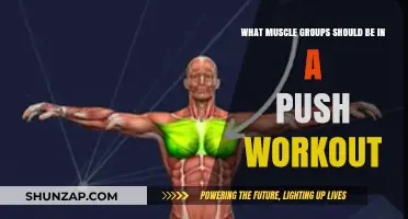 Push Workout Essentials: Targeting Key Muscle Groups for Strength Gains