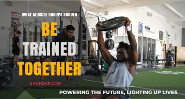Effective Muscle Pairing: Optimize Your Workouts with Smart Group Training