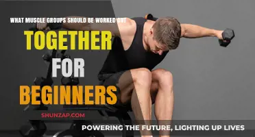 Effective Muscle Pairing: Beginner's Guide to Workout Grouping Strategies