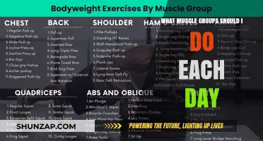 Optimize Your Workouts: Daily Muscle Group Training Strategies for Results