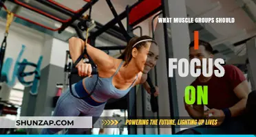 Targeted Training: Key Muscle Groups for Balanced Strength and Fitness