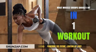 Maximize Gains: Targeting Key Muscle Groups in a Single Workout