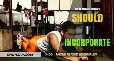 Effective Muscle Group Combinations for Balanced Strength and Fitness