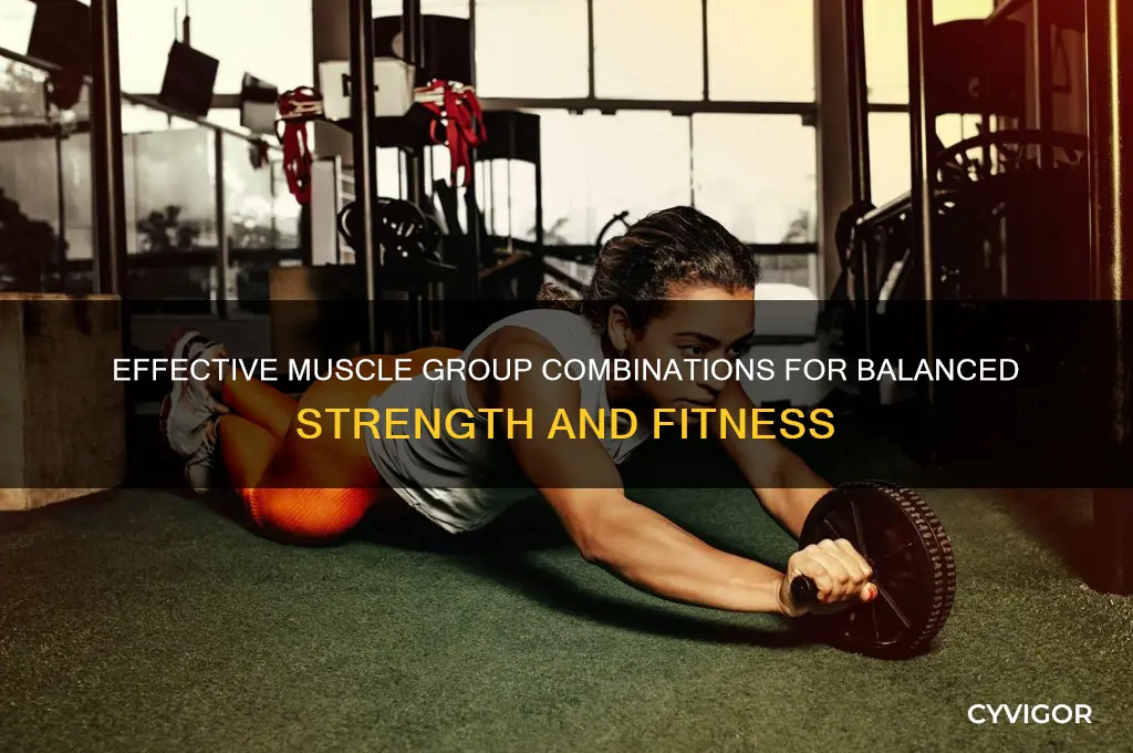 what muscle groups should i incorporate