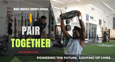 Effective Muscle Pairing: Optimize Your Workouts for Balanced Strength Gains