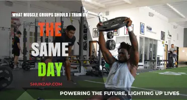 Effective Muscle Pairing: Optimize Your Workouts with Smart Training Combinations