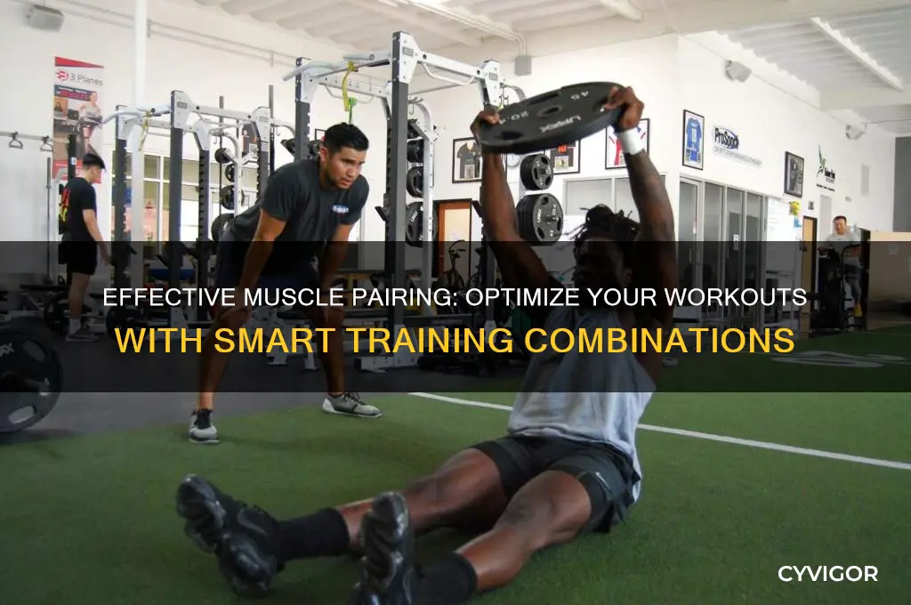 what muscle groups should i train on the same day