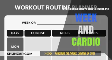 Optimize Your Weekly Workouts: Muscle Groups and Cardio Balance Guide