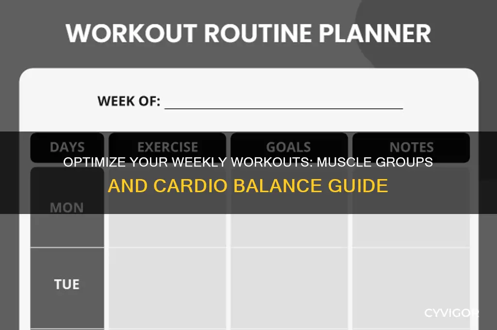 what muscle groups should i work per week and cardio