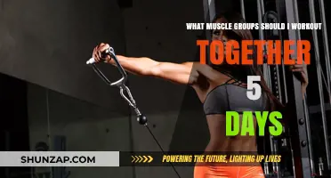 Effective 5-Day Workout Plan: Pairing Muscle Groups for Optimal Results