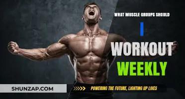 Effective Weekly Workout Plan: Targeting Key Muscle Groups for Optimal Results