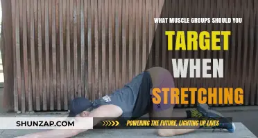 Essential Muscle Groups to Target for Effective Stretching Routines