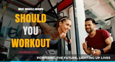 Effective Muscle Group Workouts: Targeting Strength and Balance for Optimal Results