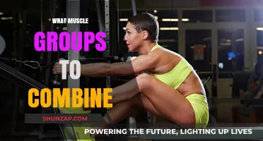 Effective Muscle Group Pairings for Optimal Strength and Growth