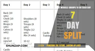 Effective 7-Day Muscle Split: Daily Workout Groups for Optimal Gains