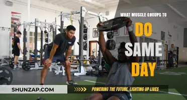 Effective Same-Day Workouts: Pairing Muscle Groups for Optimal Results